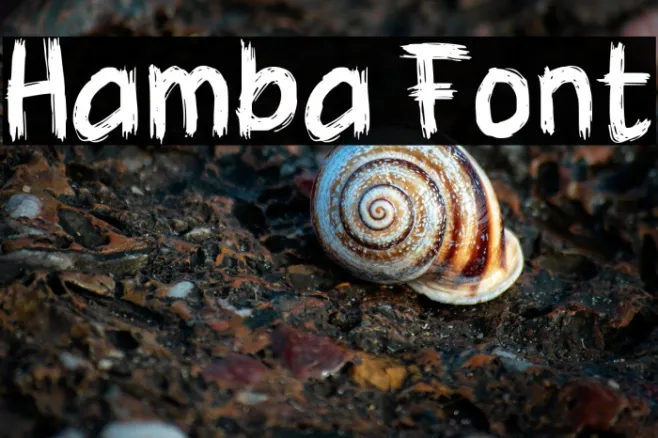 Hamba Example 1