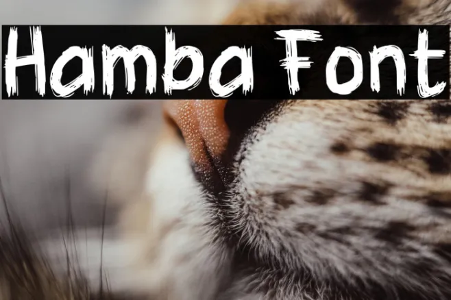 Hamba Example 2