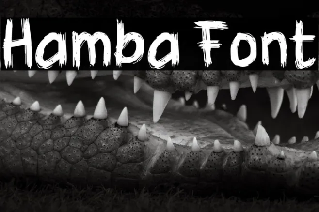 Hamba Example 3