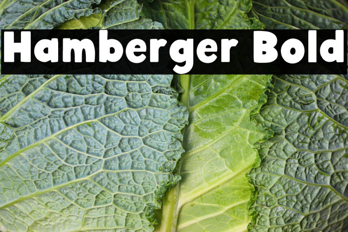Hamberger Bold Example 2