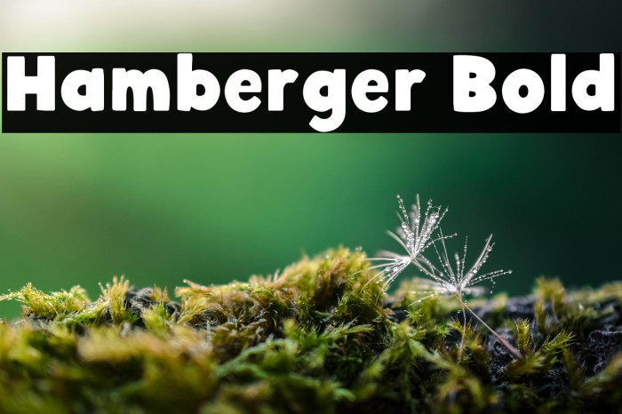 Hamberger Bold Example 3