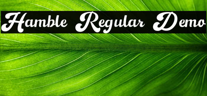 Hamble Regular Demo Example 3