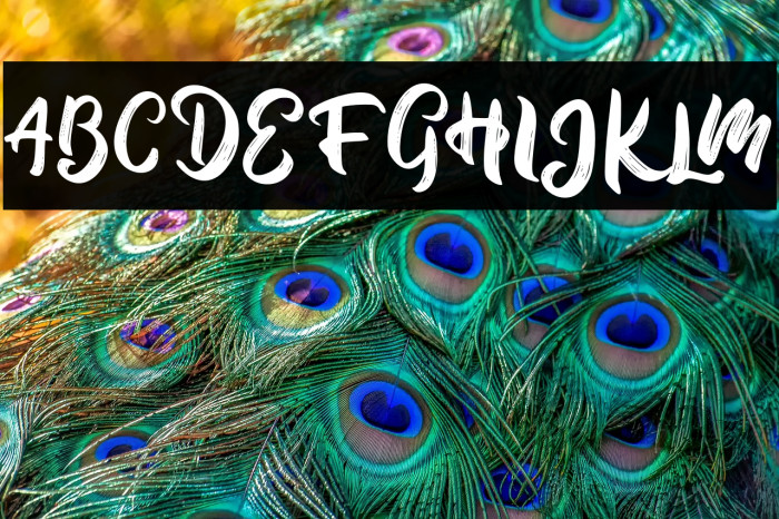 HambleFREE Example 2