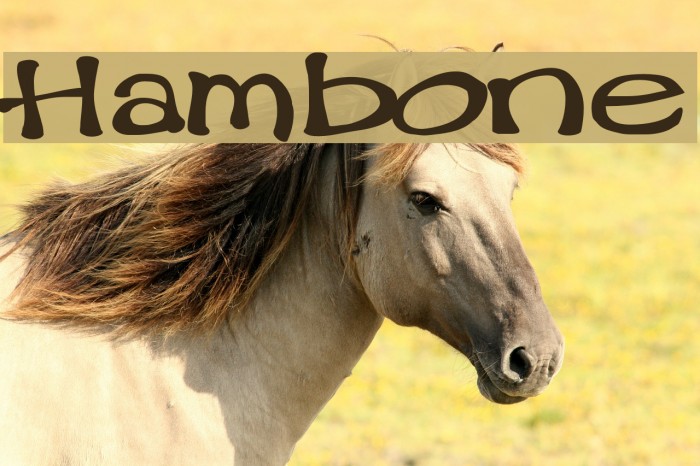 Hambone Font examples