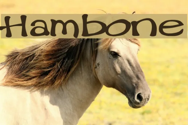 Hambone Example 2