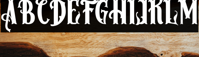 Hamburg Regular Example 3