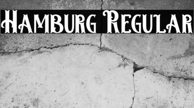 Hamburg Regular Font examples
