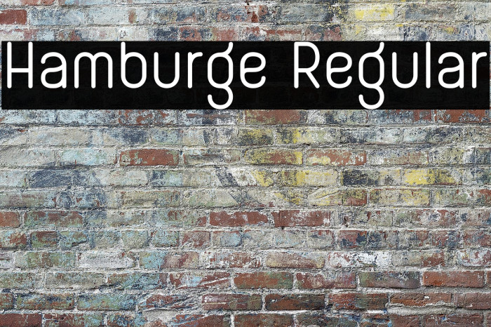 Hamburge Regular Example 1