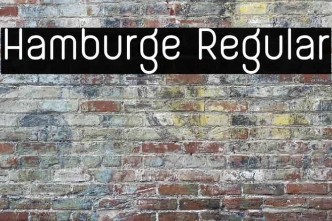 Hamburge Regular Example 1
