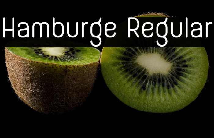 Hamburge Regular Example 3