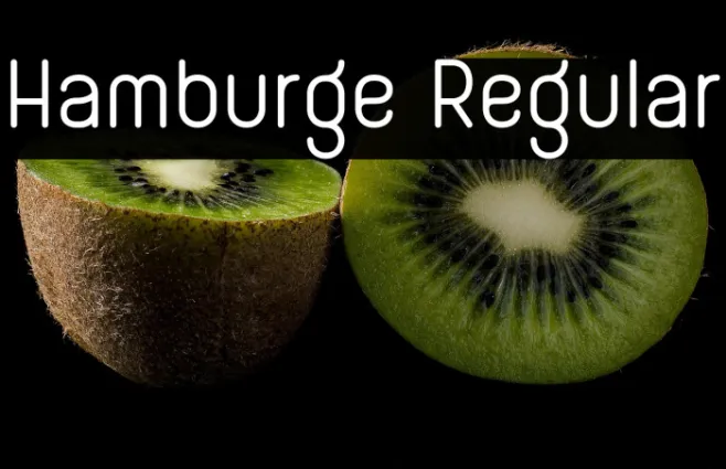 Hamburge Regular Example 3