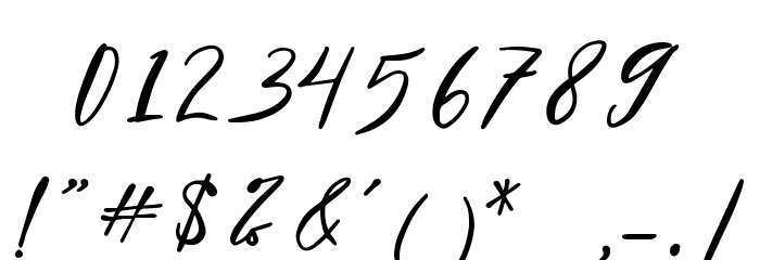 Hamburgen Signature Font OTHER CHARS