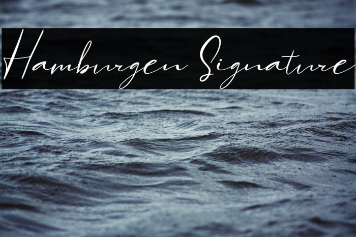 Hamburgen Signature Example 1