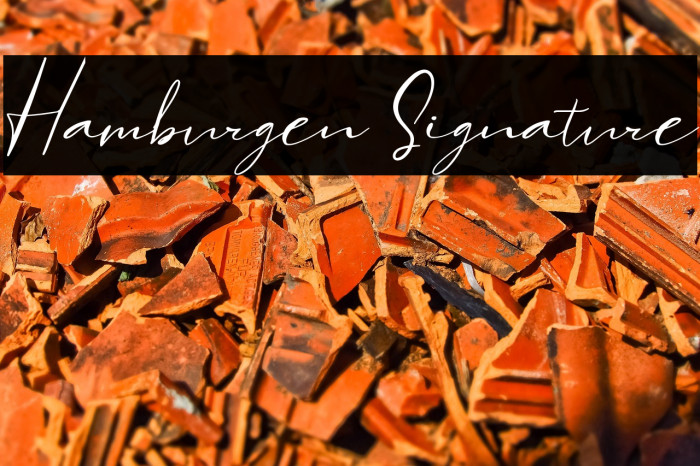 Hamburgen Signature Example 2