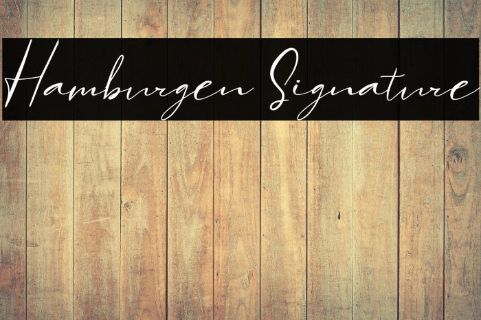 Hamburgen Signature Example 3