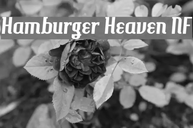 Hamburger Heaven NF Font examples