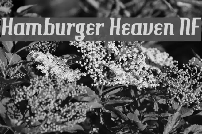 Hamburger Heaven NF Font examples