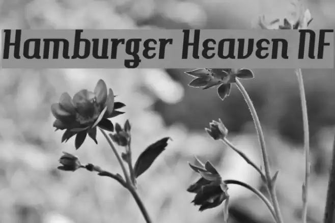 Hamburger Heaven NF Font examples