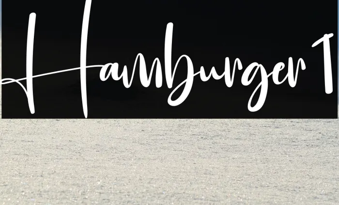 Hamburger1 Example 2
