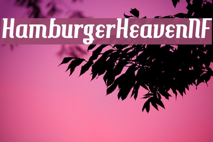 HamburgerHeavenNF Font examples