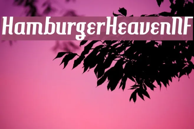 HamburgerHeavenNF Example 1