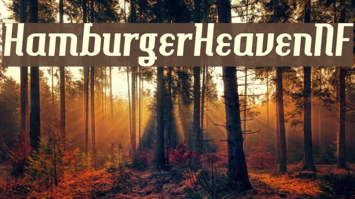 HamburgerHeavenNF Font examples