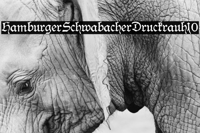 HamburgerSchwabacherDruckrauh10 Example 1