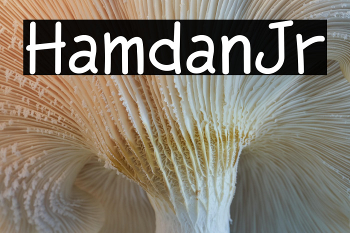 HamdanJr Example 1