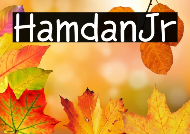 HamdanJr Example 2