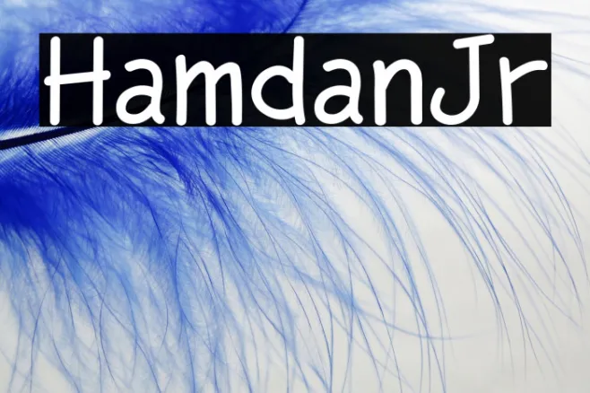 HamdanJr Example 3