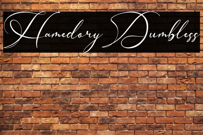 Hamedory Dumbless Example 1