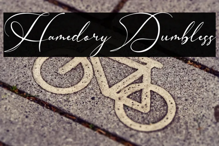 Hamedory Dumbless Example 3