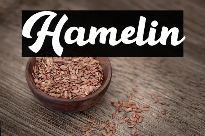 Hamelin Example 1