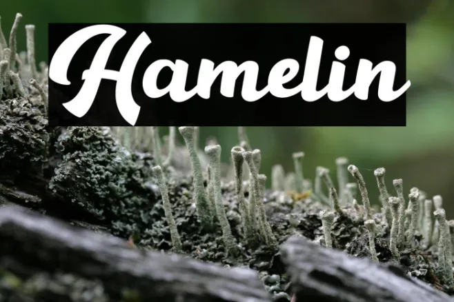 Hamelin Example 3