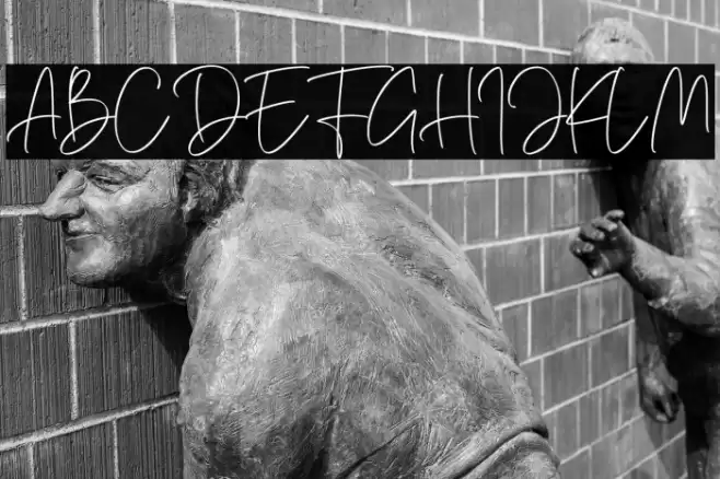 Hamellista Regular Hamellista خط examples