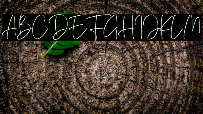 Hamellista Signature Example 1