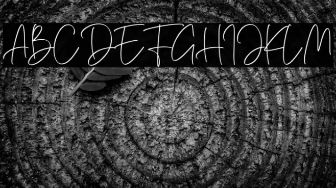 Hamellista Signature Font examples