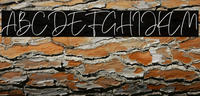 Hamellista Signature Example 3