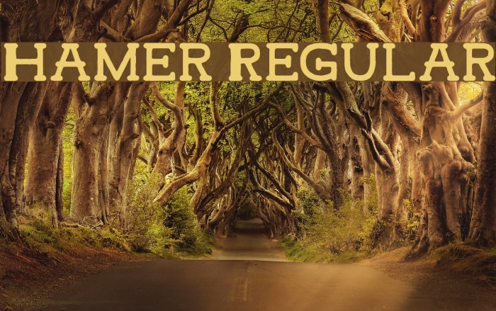 Hamer Regular Font examples