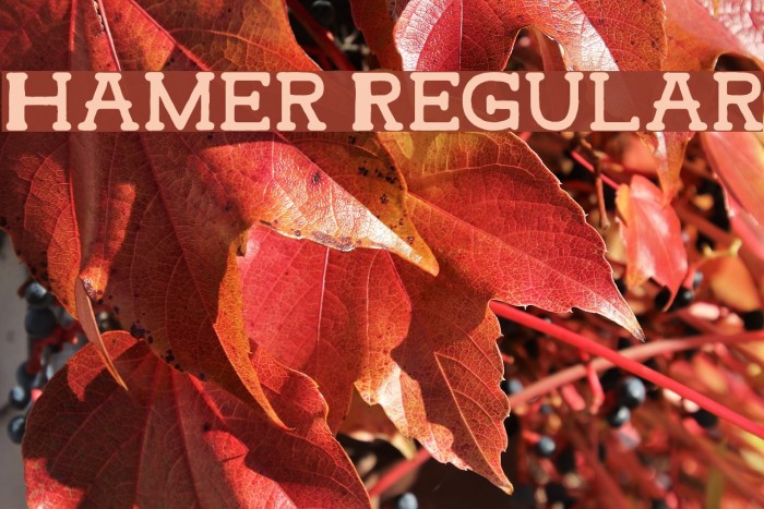 Hamer Regular Font examples