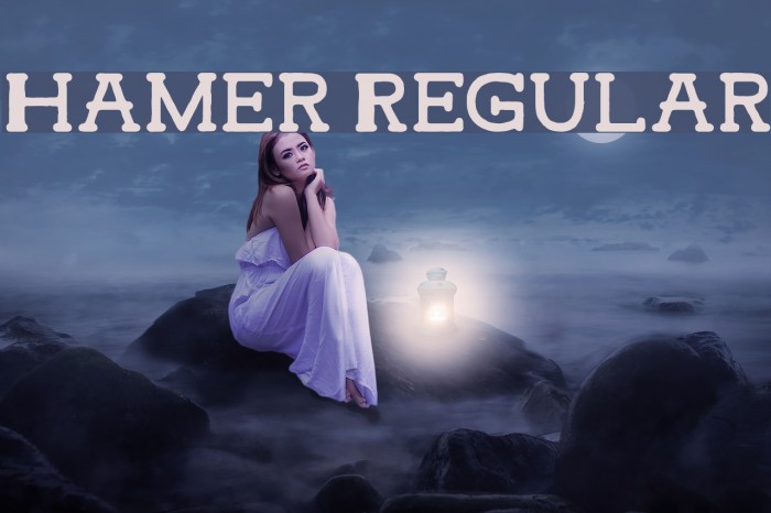 Hamer Regular Font examples