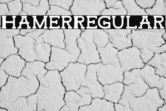 HamerRegular Font examples