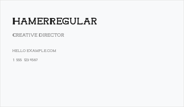 HamerRegular Business Card