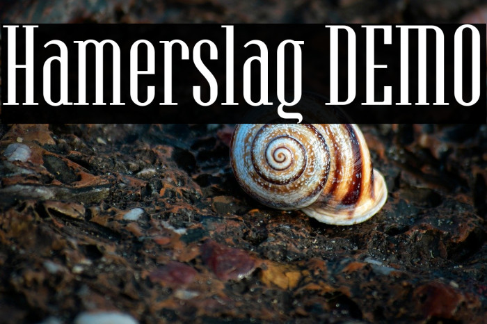 Hamerslag DEMO Example 1