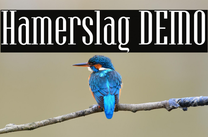 Hamerslag DEMO Example 2