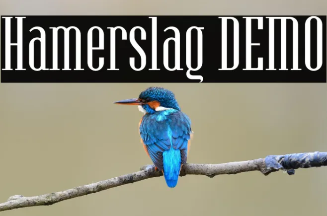 Hamerslag DEMO Example 2