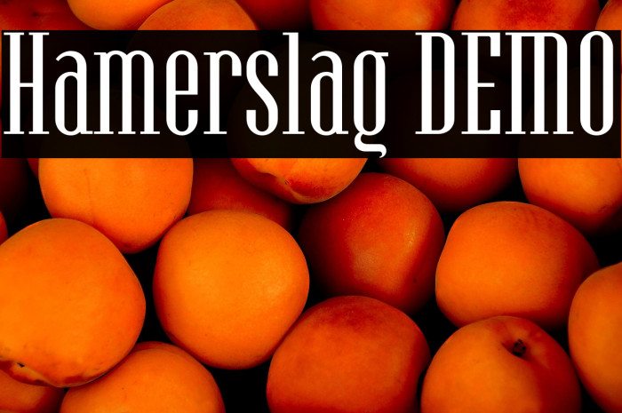 Hamerslag DEMO Example 3