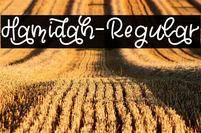Hamidah-Regular Example 2