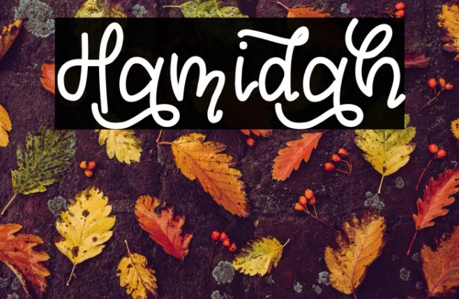 Hamidah Example 2
