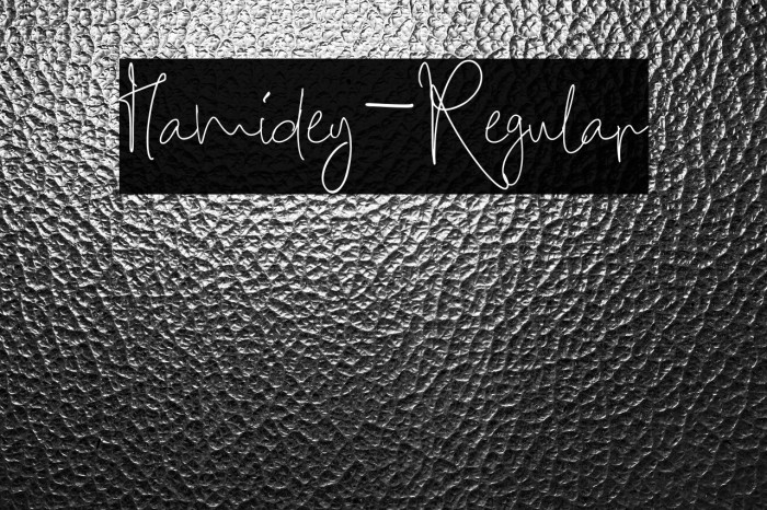 Hamidey-Regular Example 1